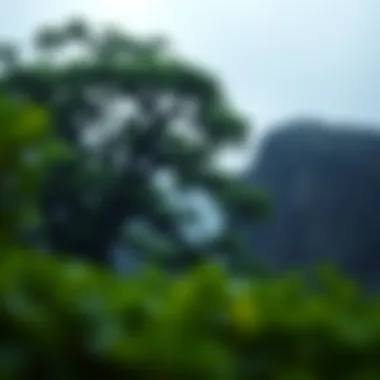 Magnificent Exploring Hedera on Coinbase: A Comprehensive Insight Magnificent Exploring Hedera on Coinbase: A Comprehensive Insight