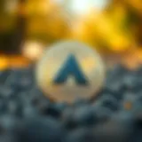 A Thorough Exploration of Ankr Crypto Introduction