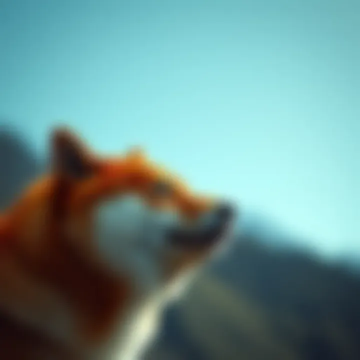 Future projections for Shiba Inu cryptocurrency