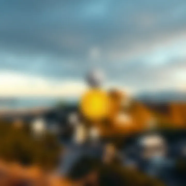 Graphic representation of regulatory bodies overseeing cryptocurrency taxation