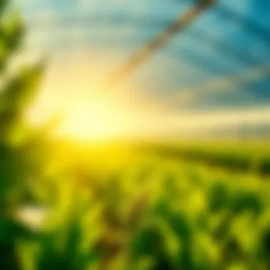 Graphic depicting yield farming in crypto