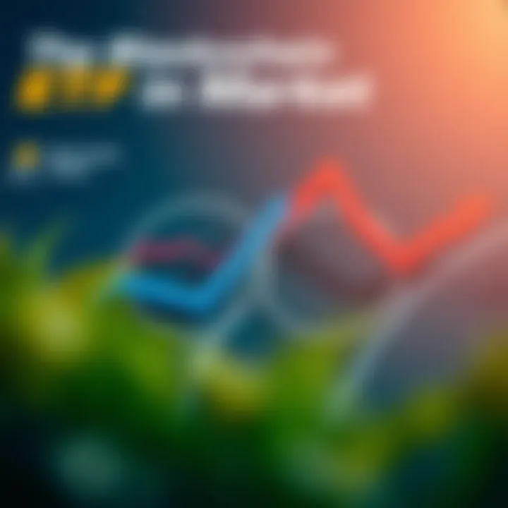 Top Providers in the Blockchain ETF Market Infographic detailing leading blockchain ETF providers