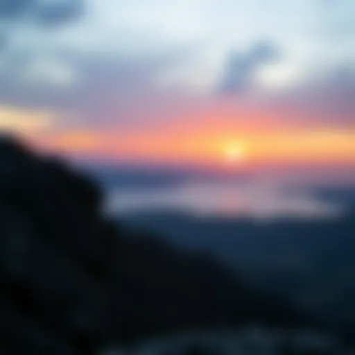 Ravencoin logo illustration