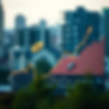 A graph showing the rise of cryptocurrency values alongside real estate prices