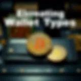 Visual representation of different wallet types for Bitcoin storage
