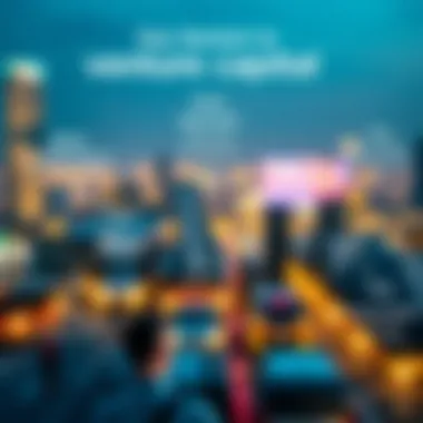 Key Sectors in Venture Capital Infographic showcasing key sectors in venture capital